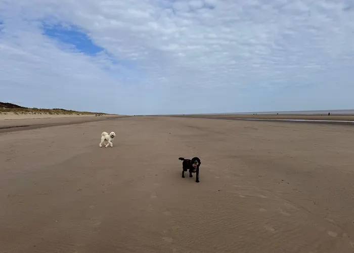 K44 Mablethorpe Chalet Park- Dog Friendly